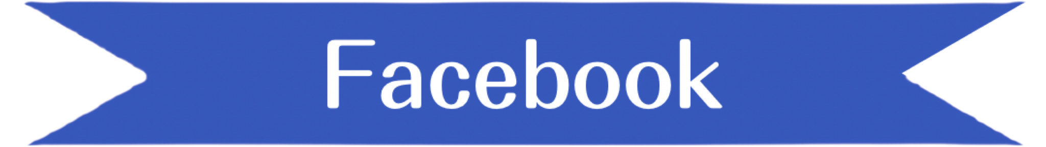 フェイスブック