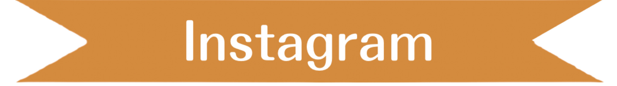 インスタグラム